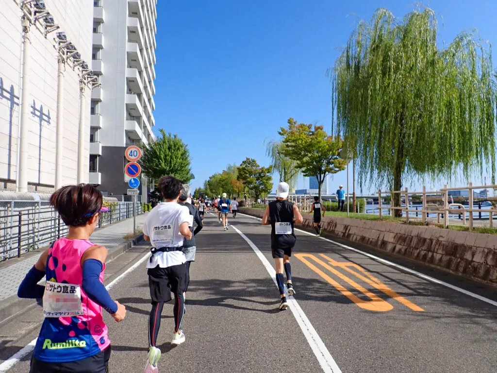 柳が枝を垂らす信濃川沿いの道を日本海方面へ走るランナーたち