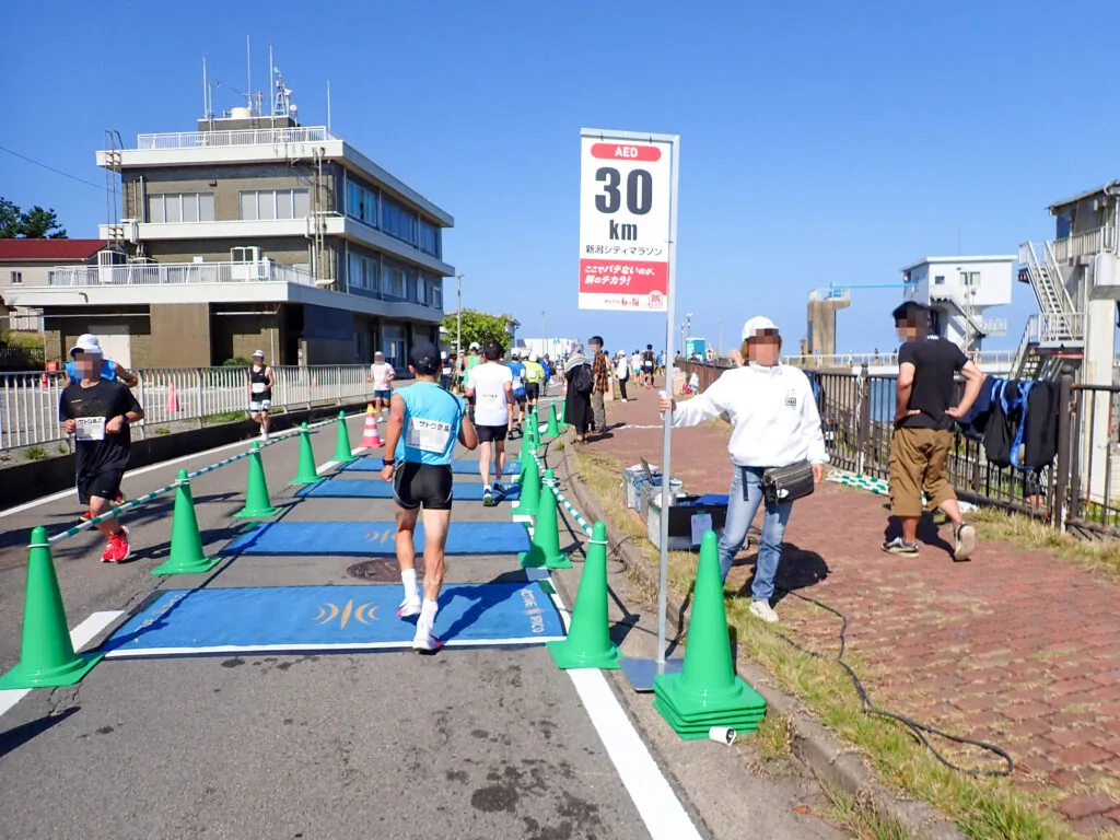 「30km」の看板と青い計測マットが置かれた地点を通過するランナーたち