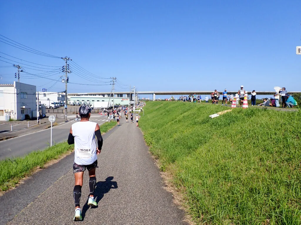 緑の堤防に沿って信濃川沿いの道を進むランナー
