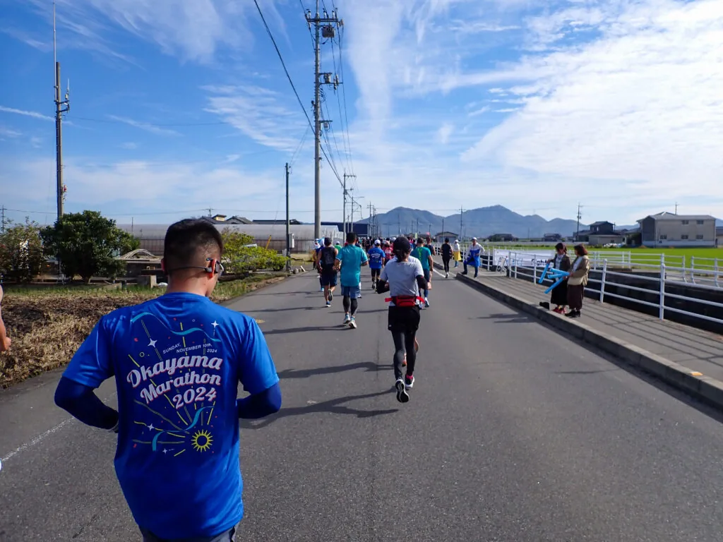 遠くに山並みが見える田園地帯の道を、北東へ進むランナーたち