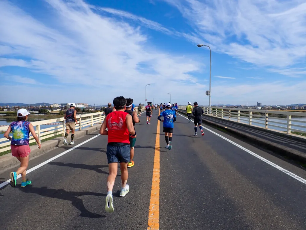 白い欄干が続く笹ヶ瀬新橋を渡るランナーたちと、広がる田園風景