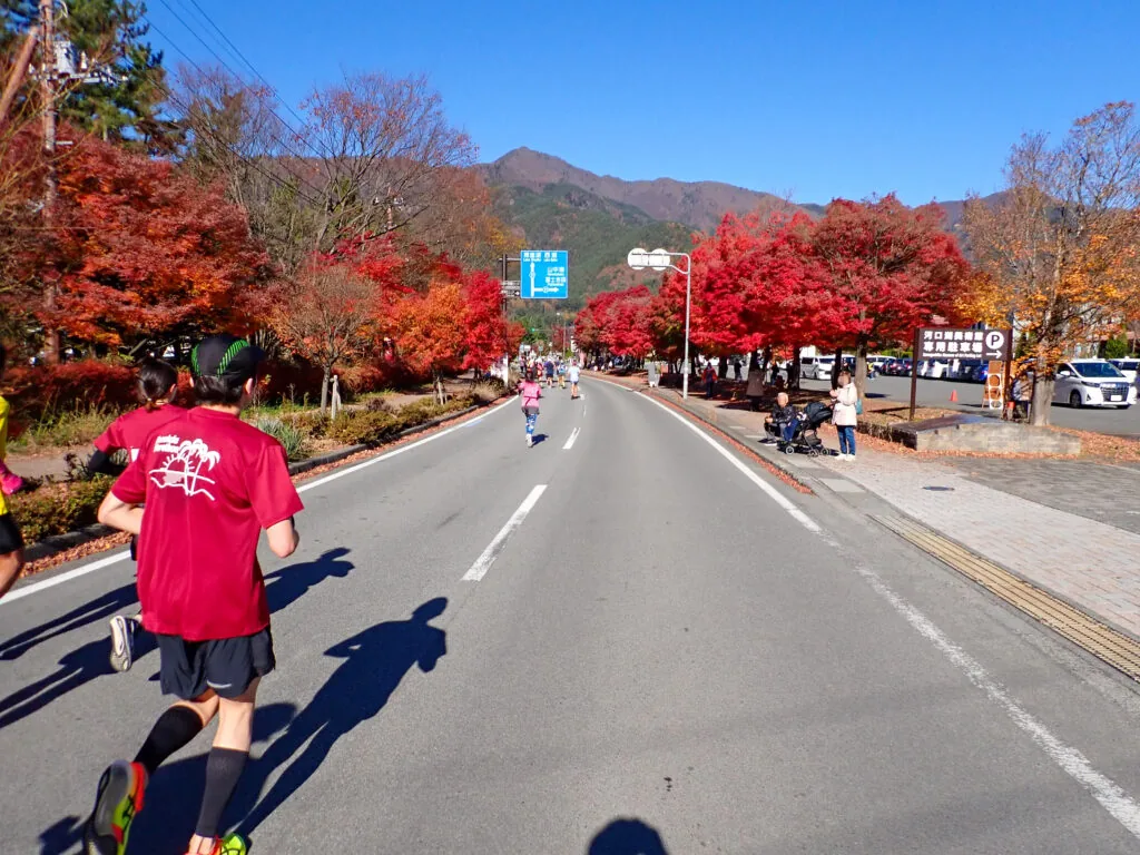真っ赤に紅葉した木々が並ぶ道を走るランナーたち