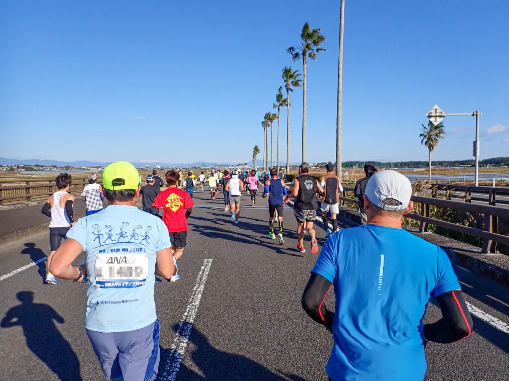 ヤシの木が並ぶバイパスを、北へ向かって走るランナーたち