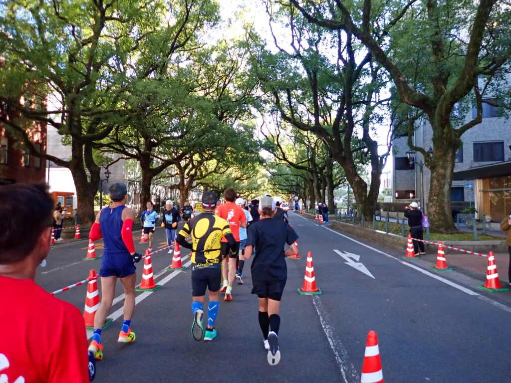 大きな木々が枝を広げる並木の下を、コーンで仕切られた道に沿って走るランナーたち