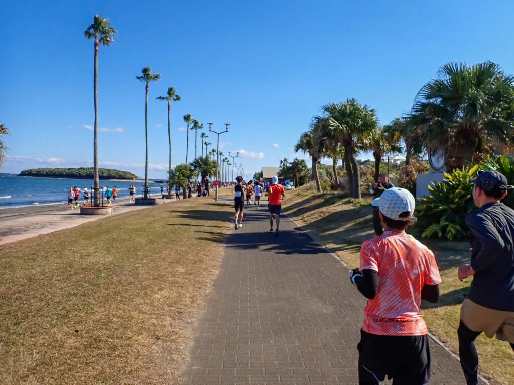 ヤシの木が並ぶ海岸の遊歩道を走るランナーたちと、遠くに見える青島