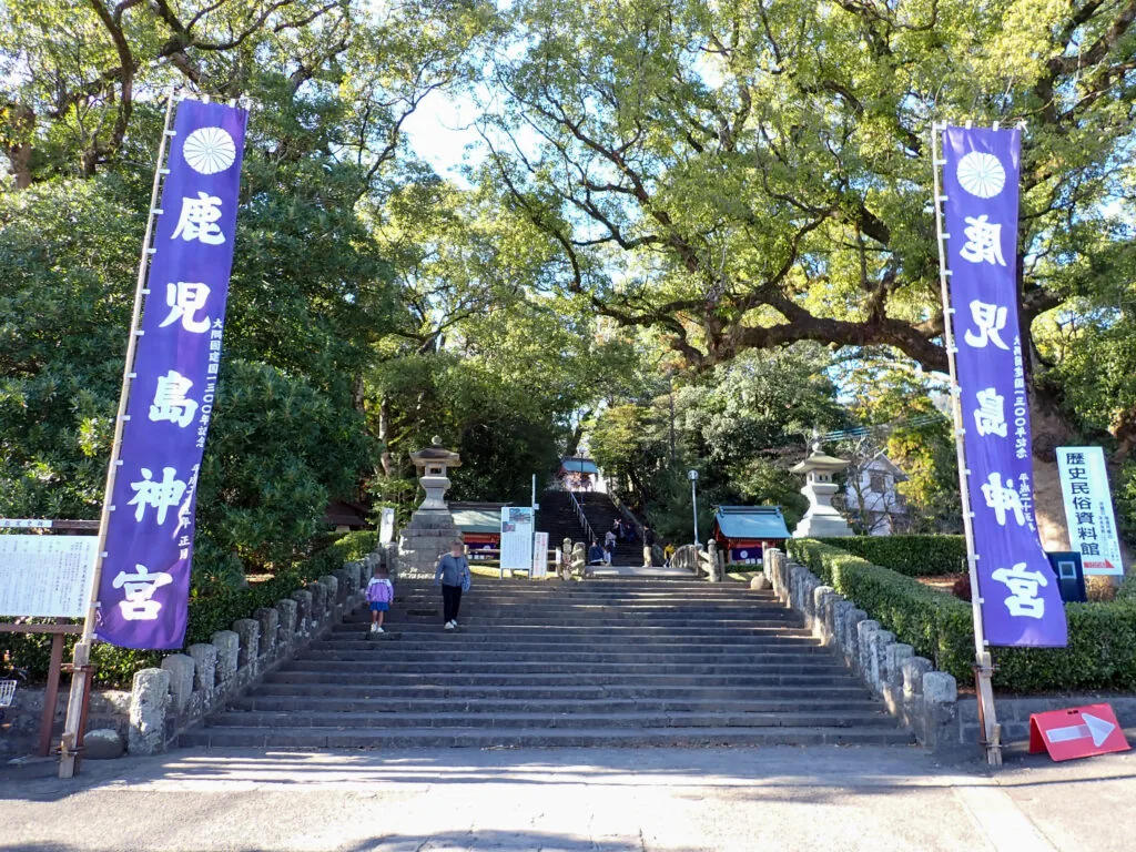 「鹿児島神宮」の幟が立つ石段と、枝を広げる大きな樹木
