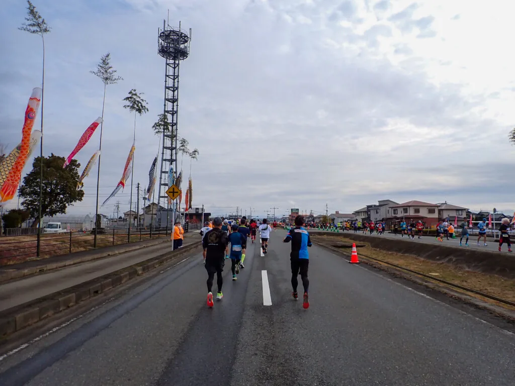 こいのぼりが揺れる川沿いの道を走るランナーたち