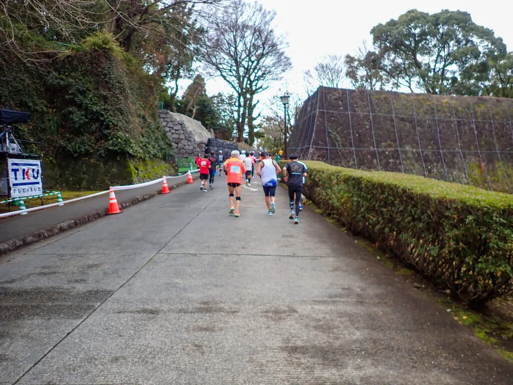 石垣と生け垣に沿って続くゴール手前の坂道を上るランナーたち