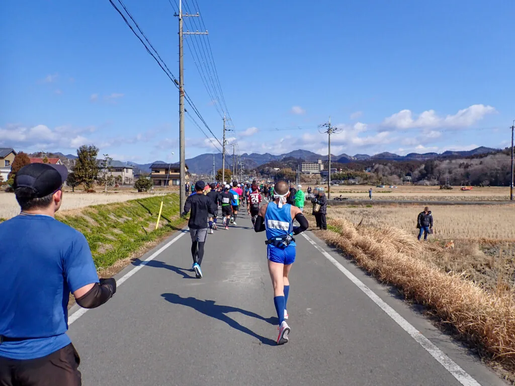 刈り田が広がる道を山に向かって走るランナーたち
