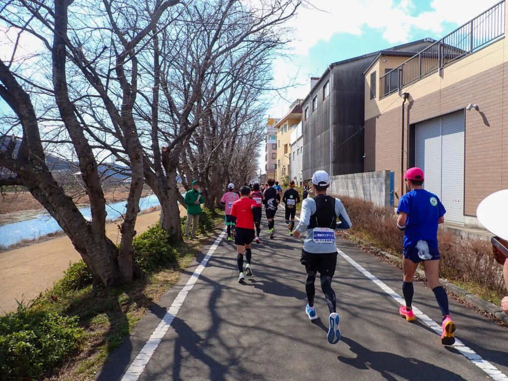 枯れ木が並ぶ川沿いのサイクリングロードを進むランナーたち