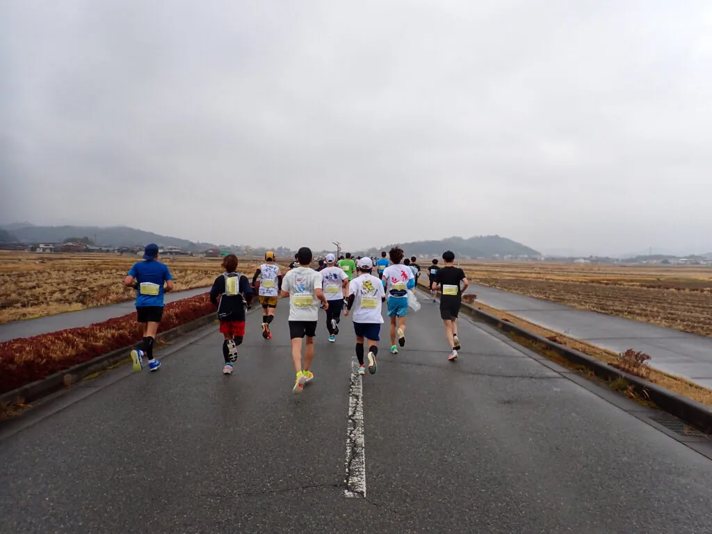 冬枯れの田んぼの中の一本道を進むランナーたち
