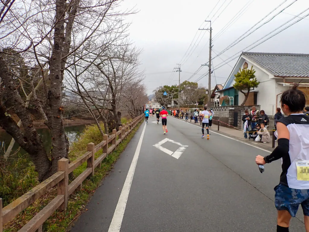 葉を落とした木が並ぶ川沿いの道を進むランナーたち