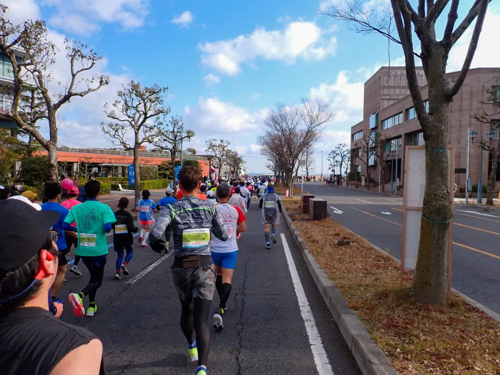 街路樹が並ぶ湖畔近くの道を進むランナーたち
