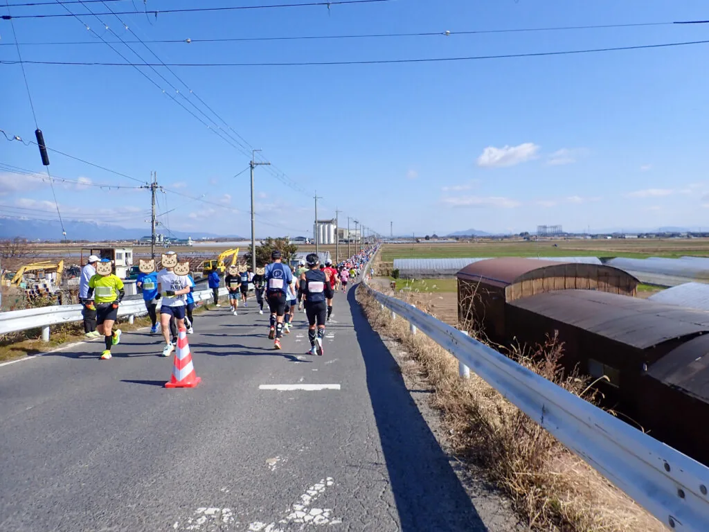 畑とビニールハウスが広がるメロン街道を走るランナーたち