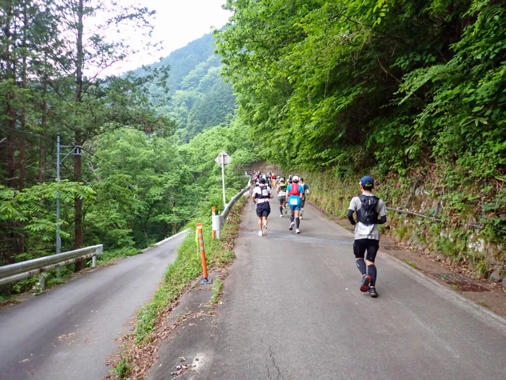 緑に囲まれた山道を上るランナーたち