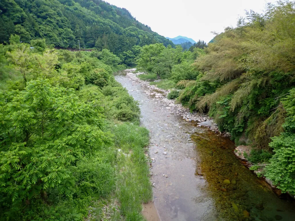 緑の木々に挟まれた谷を流れる川