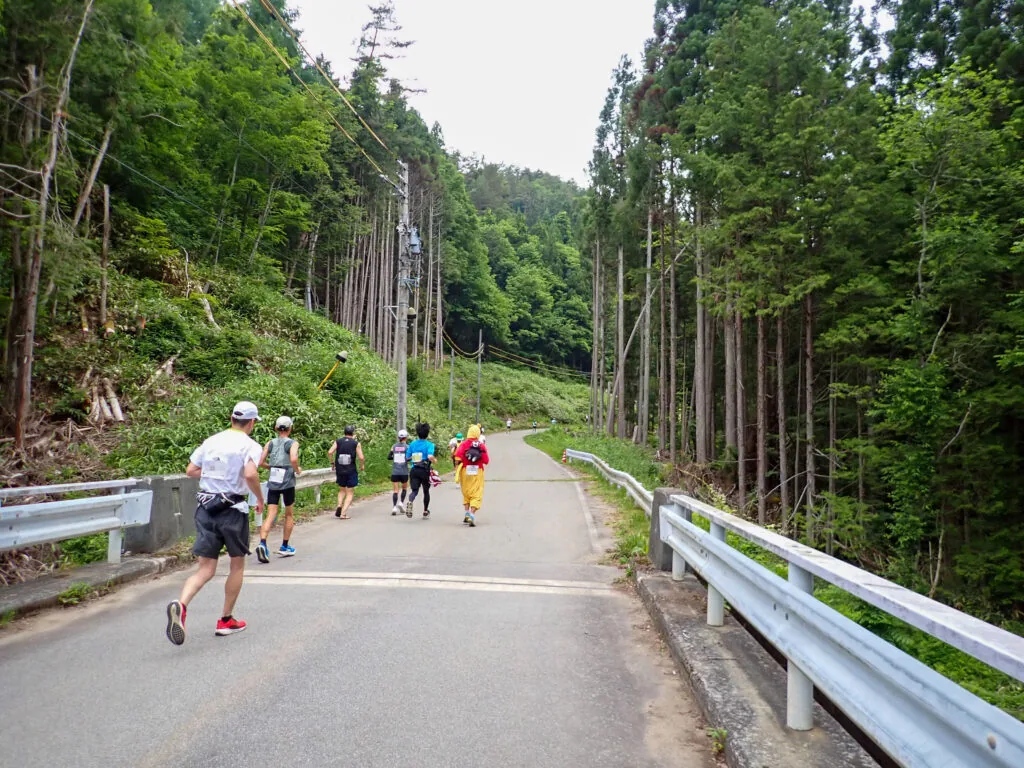 杉林の中の坂道を上るランナーたち