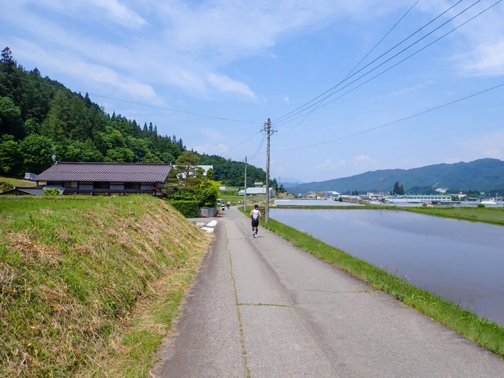水を張った田んぼ沿いの道を走るランナー