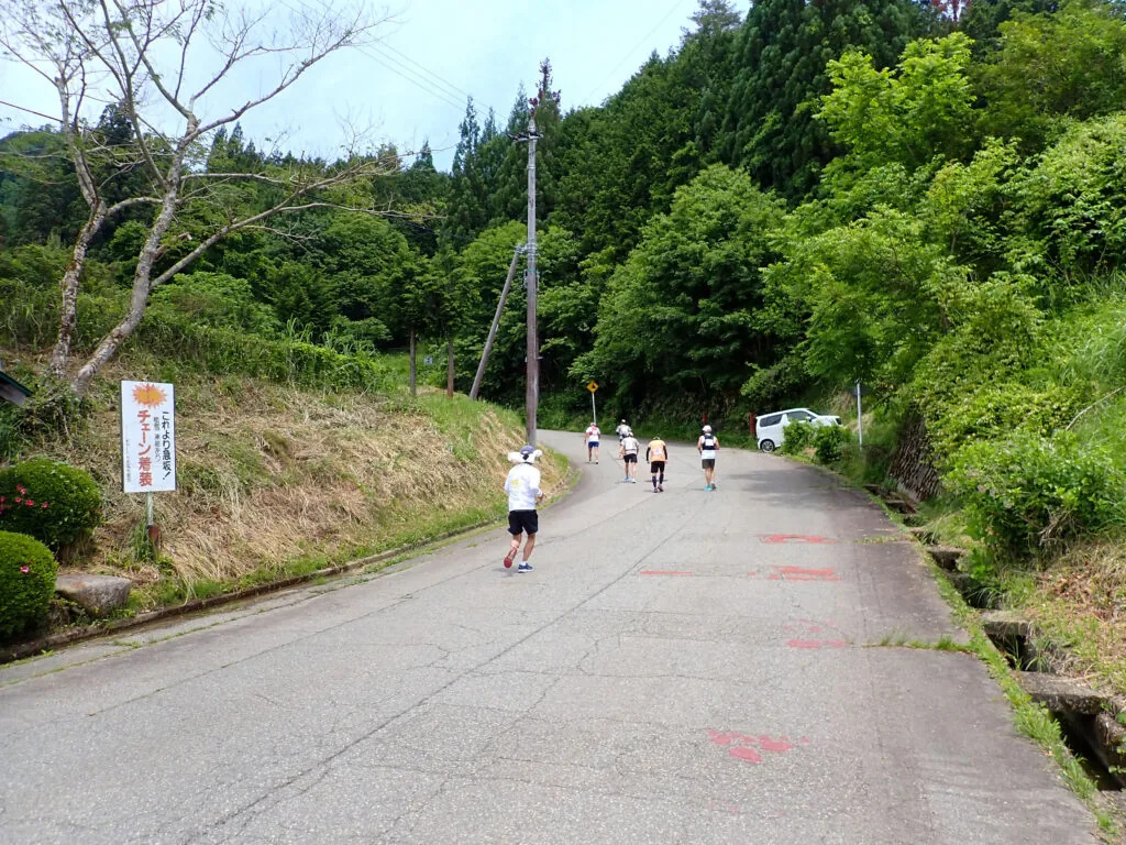 木々に囲まれた坂道を上るランナーたち