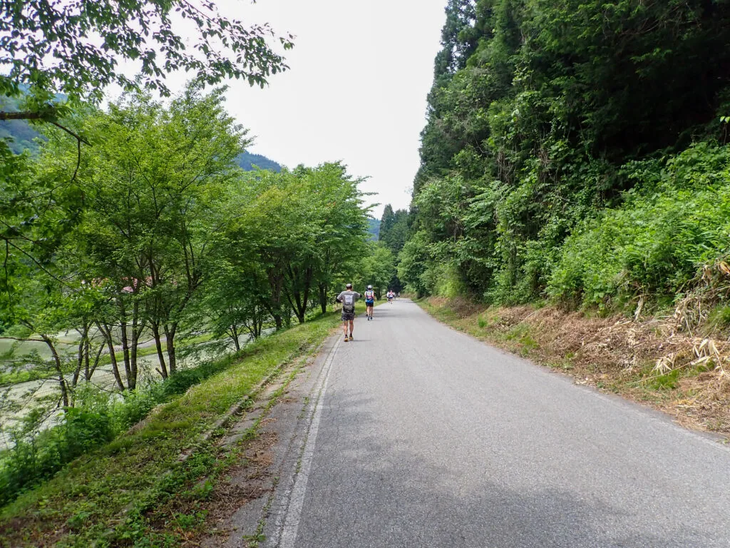 木々に囲まれた静かな道を進むランナーたち