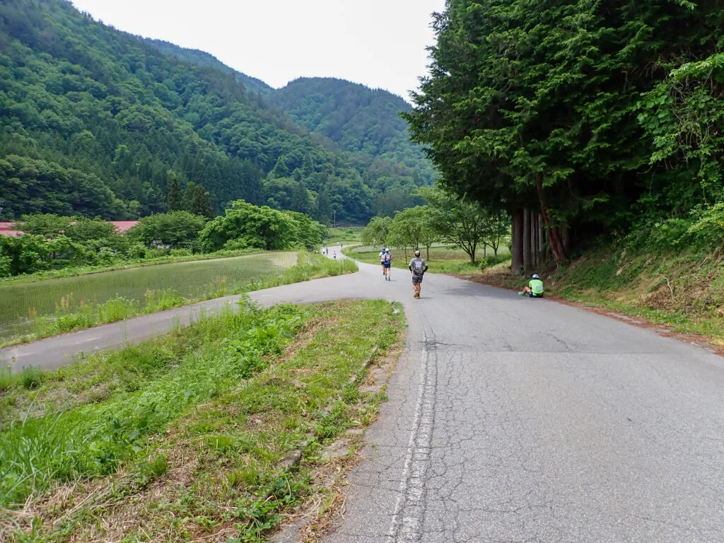 山と水田に囲まれたカーブの道を進むランナーたち