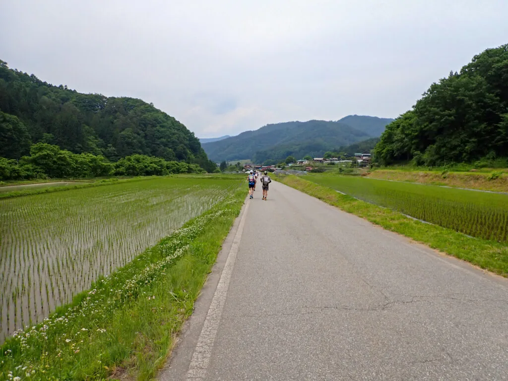 水を張った田んぼの間をまっすぐ伸びる道を進むランナー