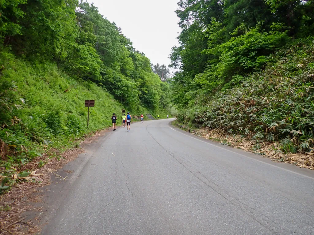 緑の斜面に挟まれた峠道を進むランナーたち