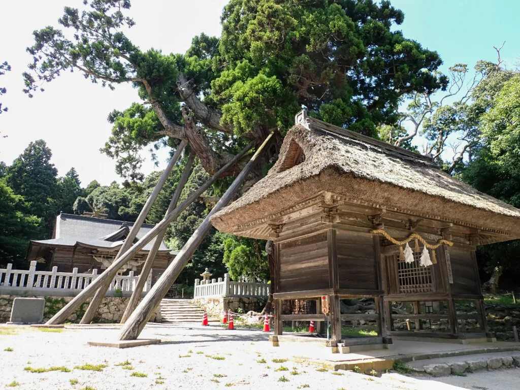 丸太で支えられた茅葺き屋根の社殿（玉若酢命神社）