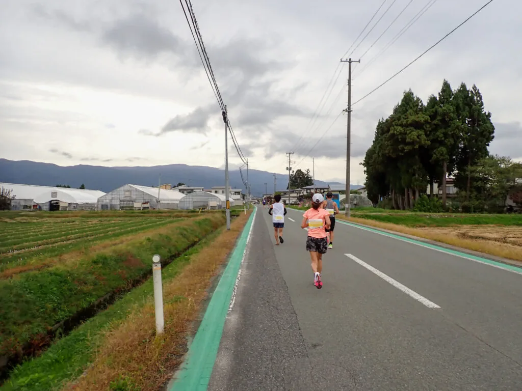 ビニールハウスと山並みを望む道を進むランナーたち