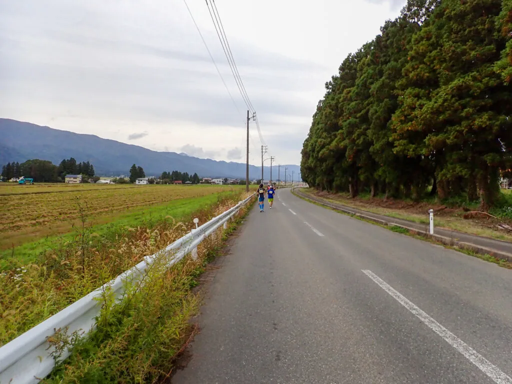杉の木立と田んぼが続く道路と、遠くの山並み