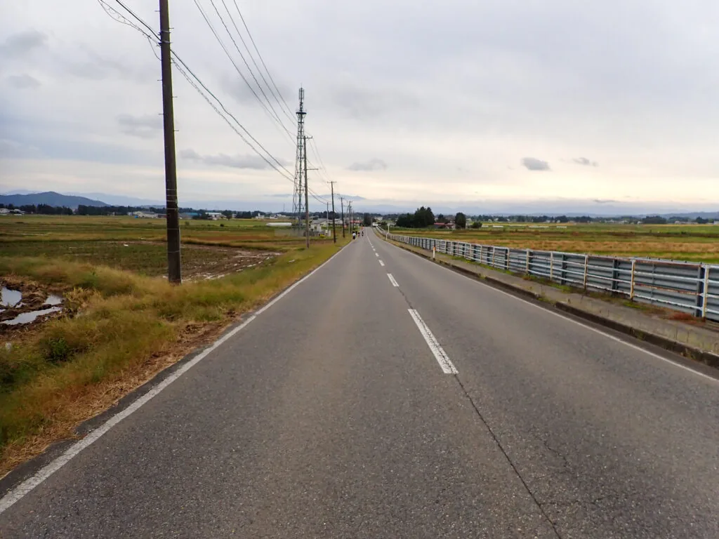 電柱が並ぶ、田んぼの中をまっすぐ延びる道路