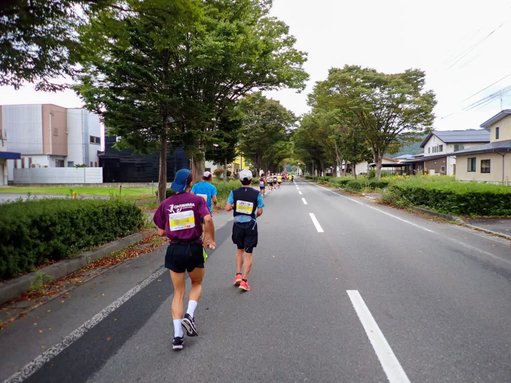 街路樹が続く道を北上するランナーたち