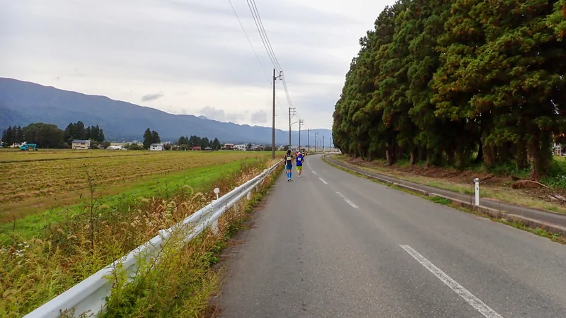 長井マラソン2025完走記｜約21kmを2周する長閑なコースと芋煮