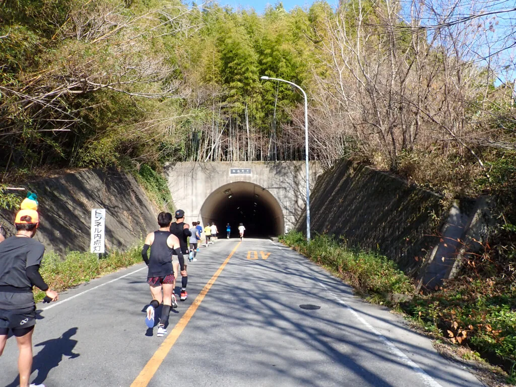 西尾マラソン（2026）