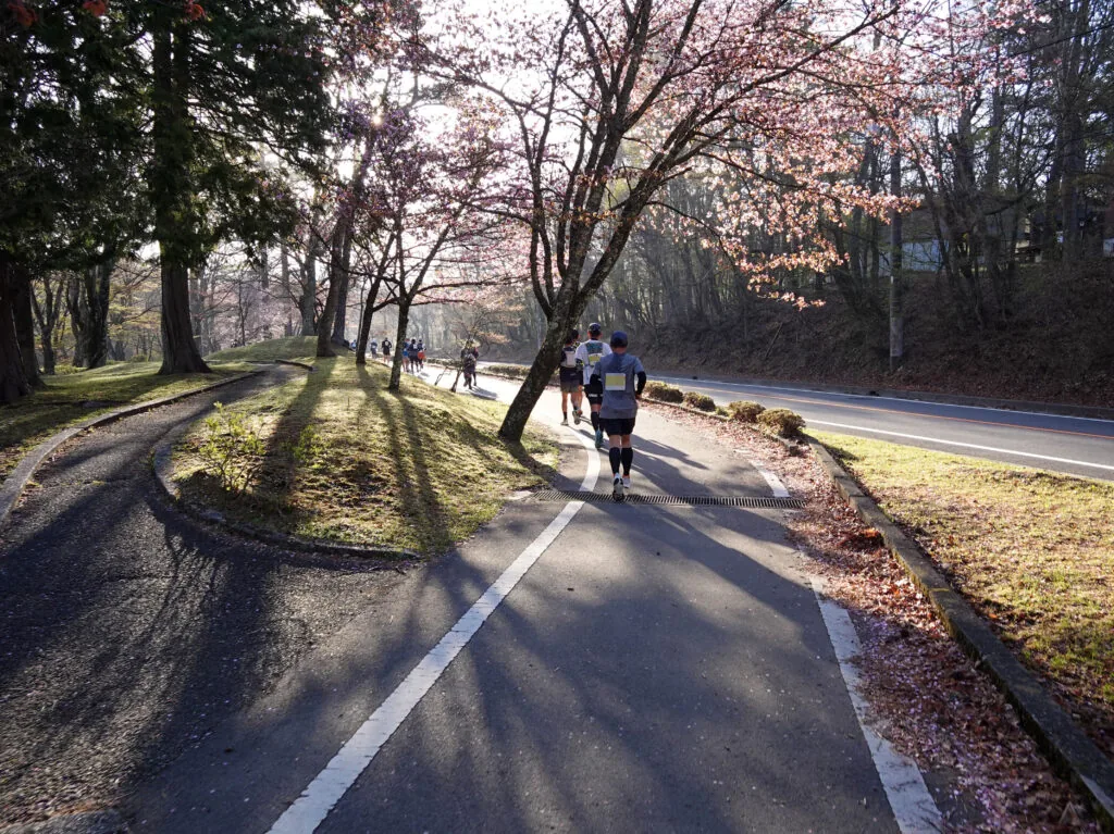 桜の木が並ぶ道を走るランナーたち