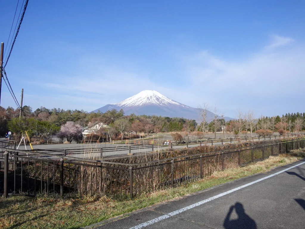 湖畔の道の先に見える冠雪した富士山