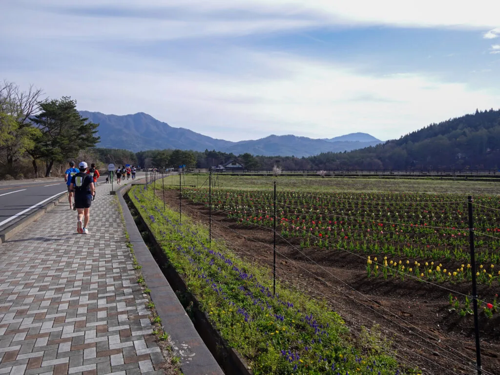 花畑沿いの歩道を走るランナーたちと遠くの山並み