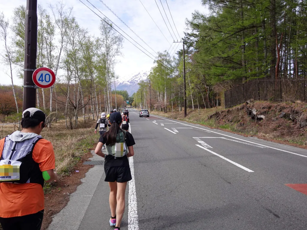 白樺や松が並ぶ林間の道を走るランナーたち
