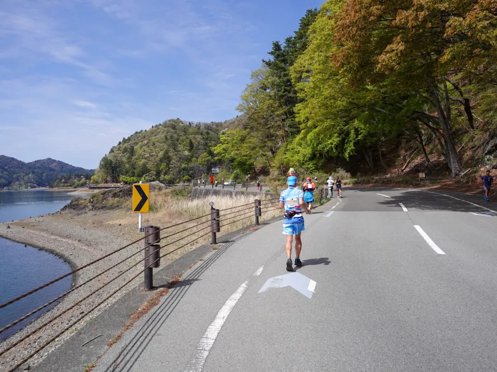 湖沿いのカーブした道を走るランナーと新緑の木々