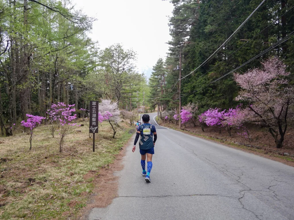 ピンクの花が咲く林の中の坂道を走るランナー