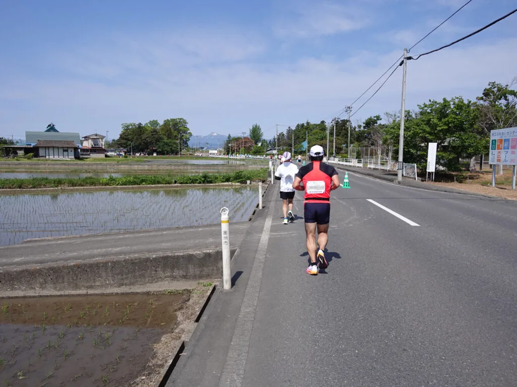 水田の向こうに山並みが見える道を走るランナーたち