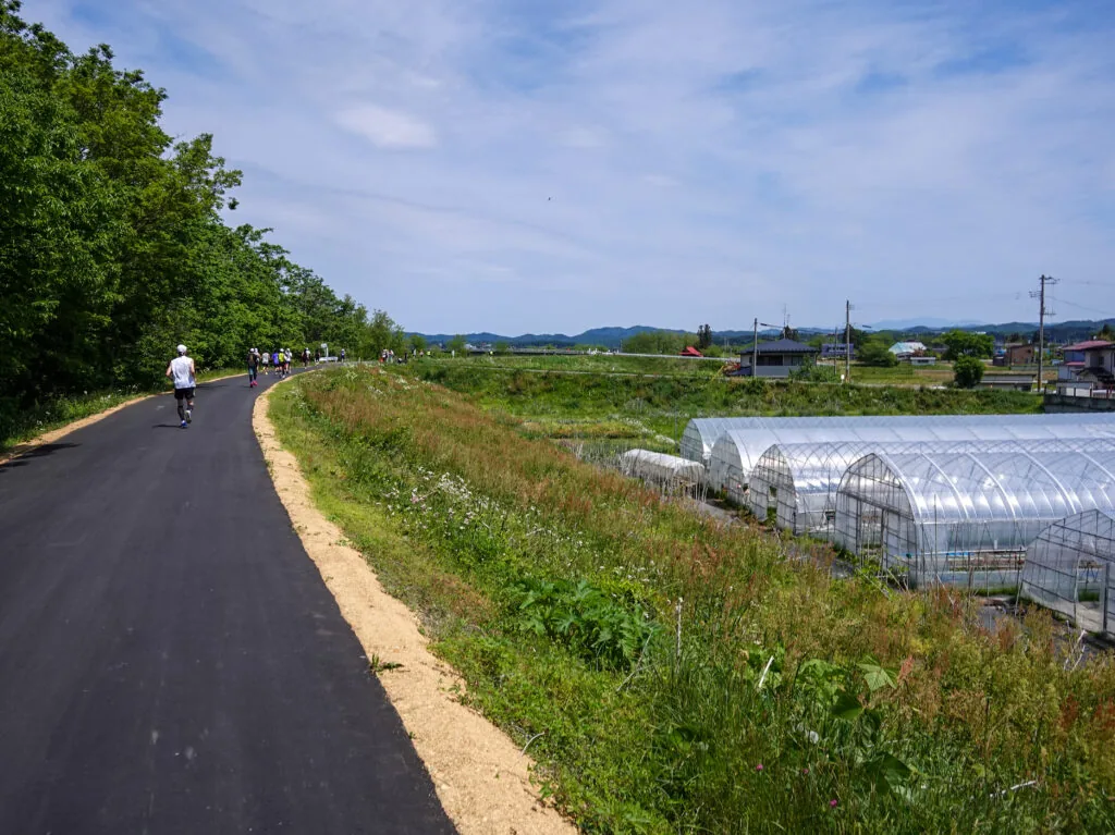 堤防沿いの道とビニールハウスが並ぶ田園