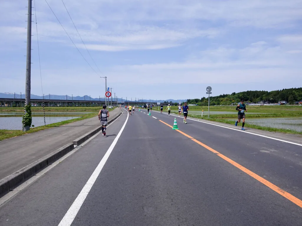 水田に沿ってまっすぐ延びる道を走るランナーたち